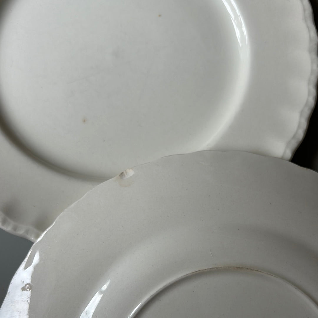 Cremefarvet frokosttallerkner