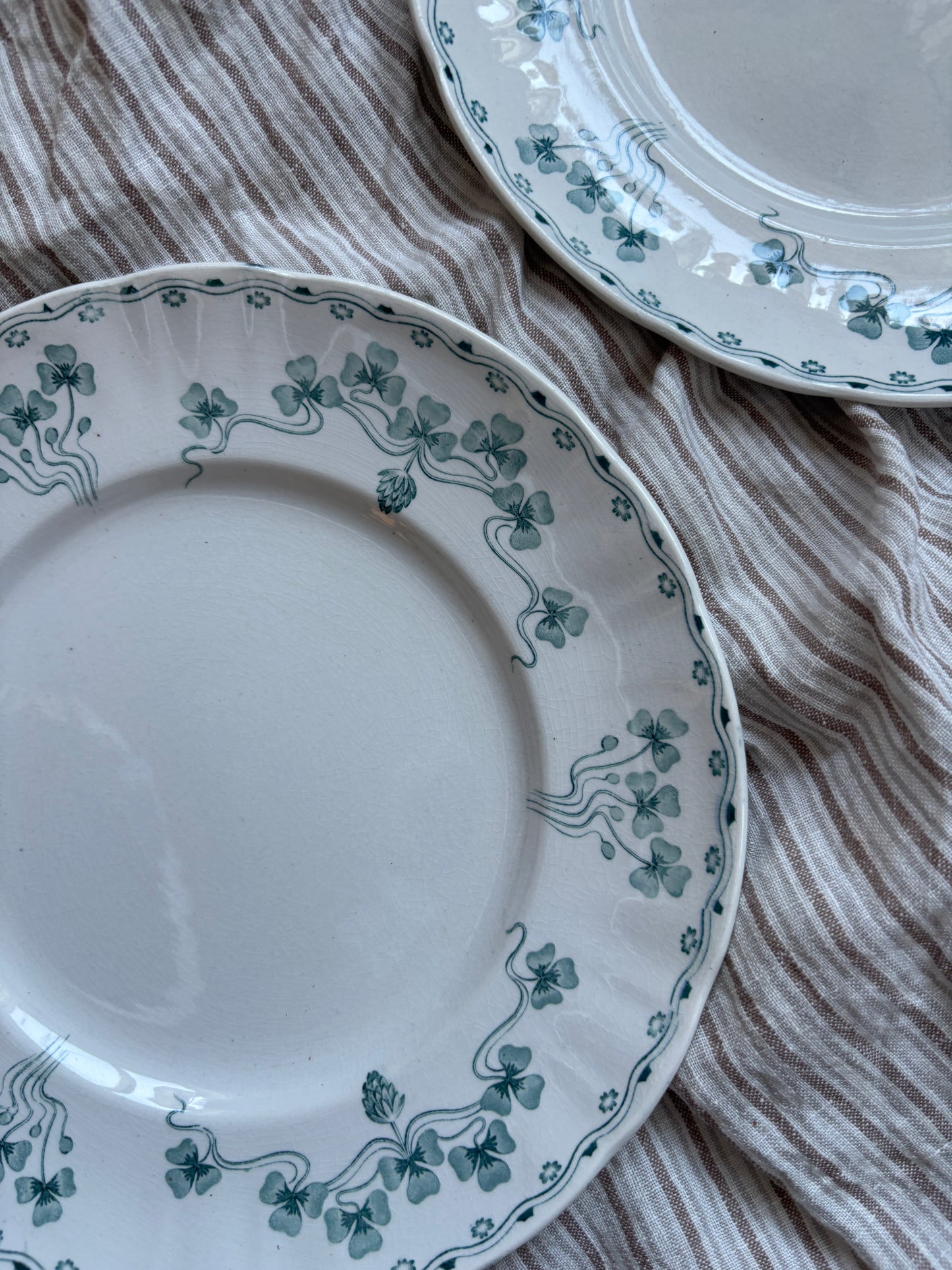 Villeroy & Boch middagstallerkner