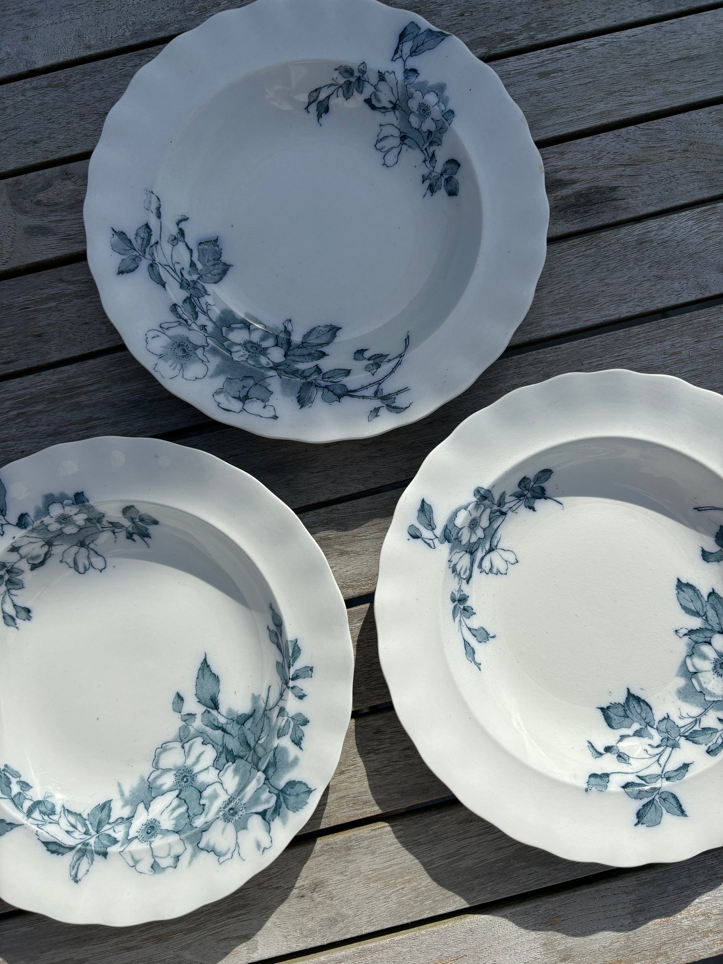 Dybe Wild Rose tallerkner