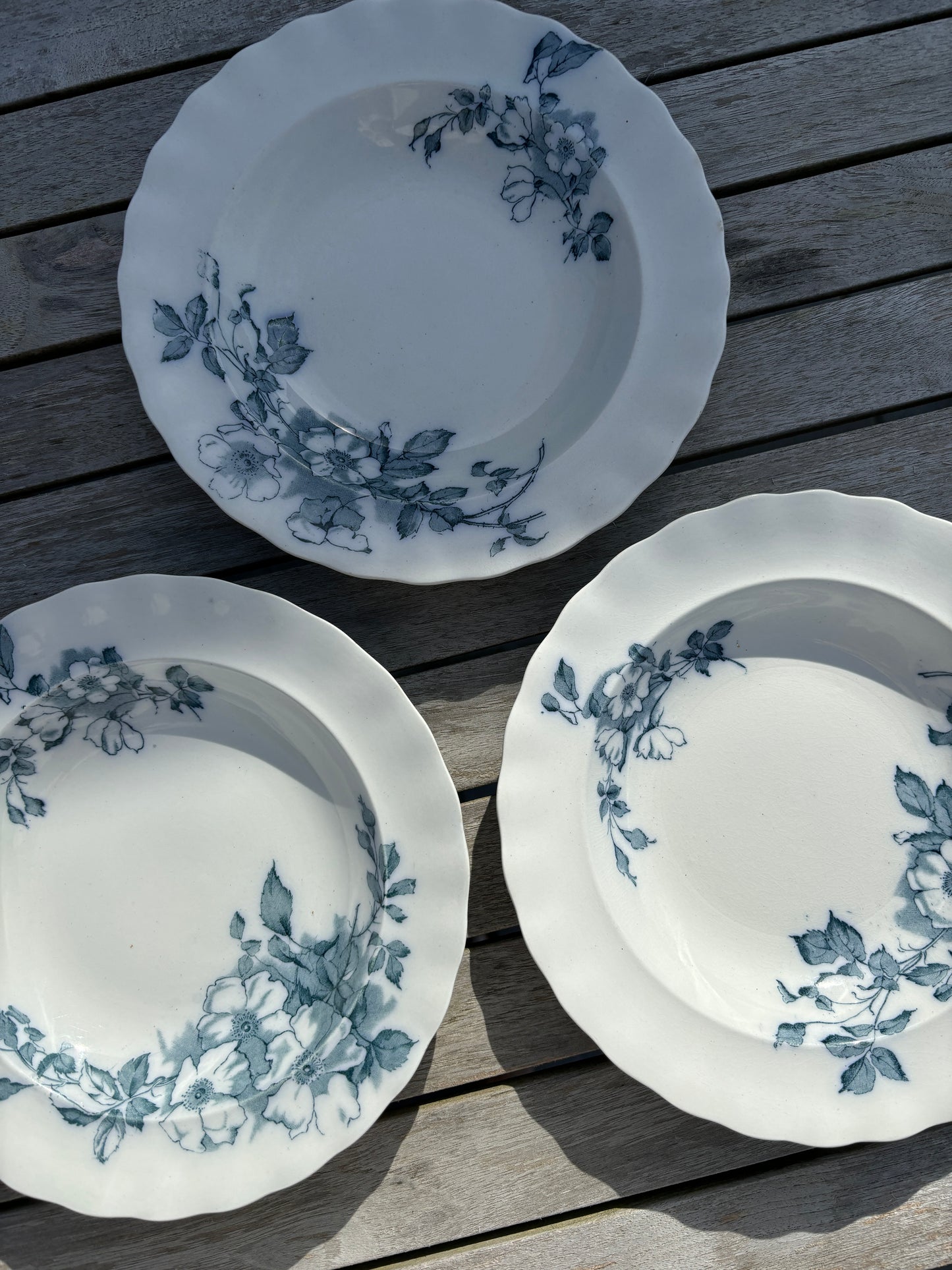 Dybe Wild Rose tallerkner