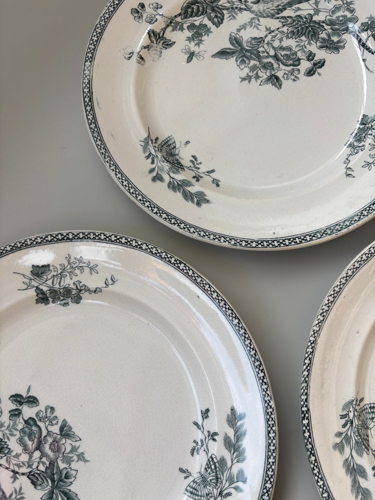 Gustafsberg frokosttallerkner