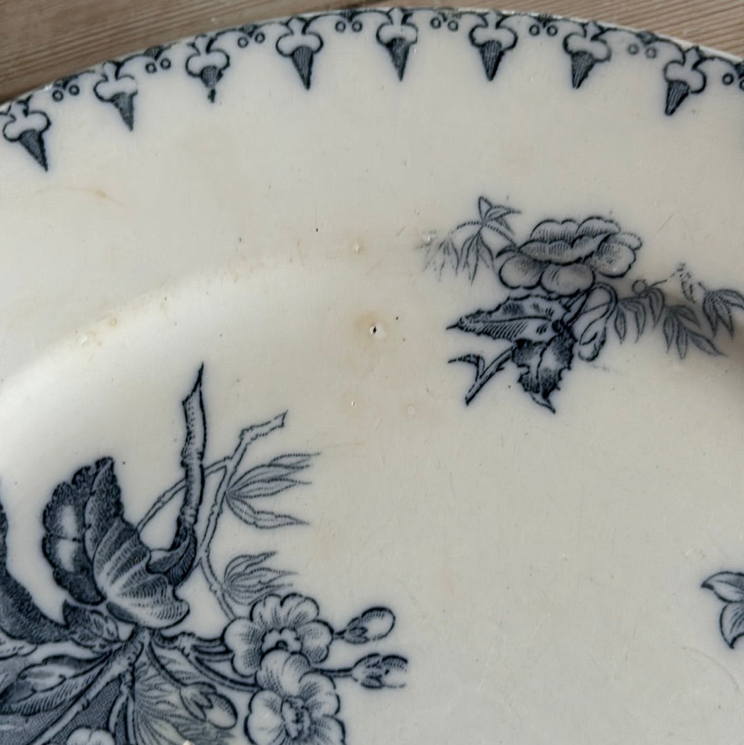 Flore middagstallekner