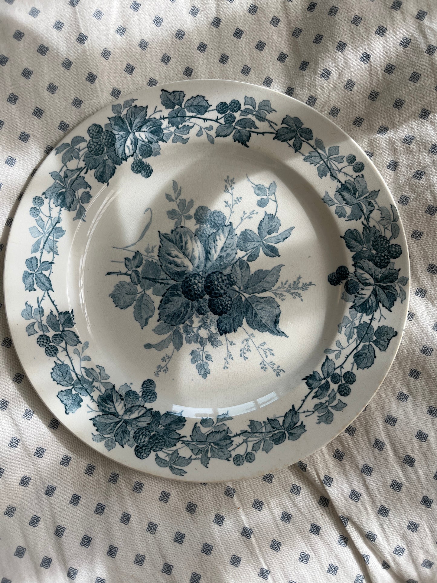 Villeroy & Boch platte