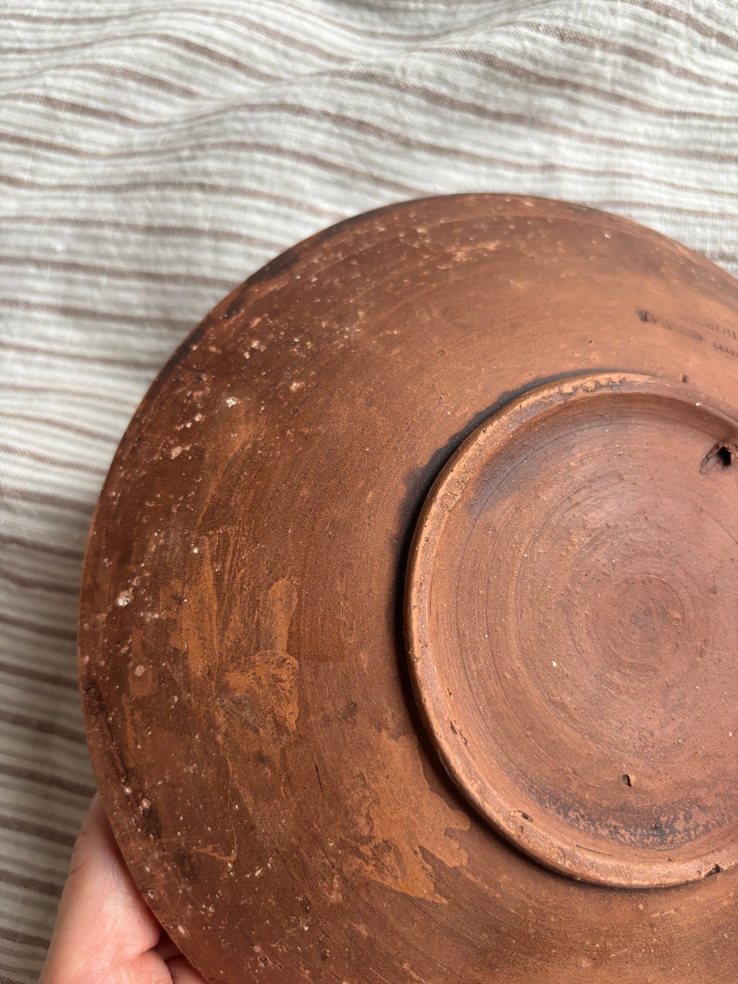 Platte med fuglemotiv