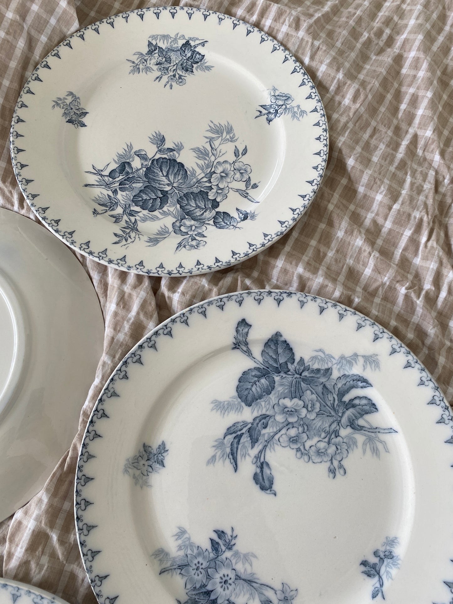 Middagstallerkner franske FLORE