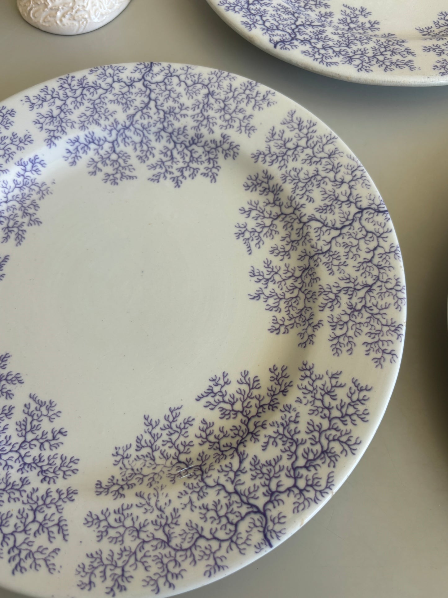 Middagstallerkner med smukt lilla motiv