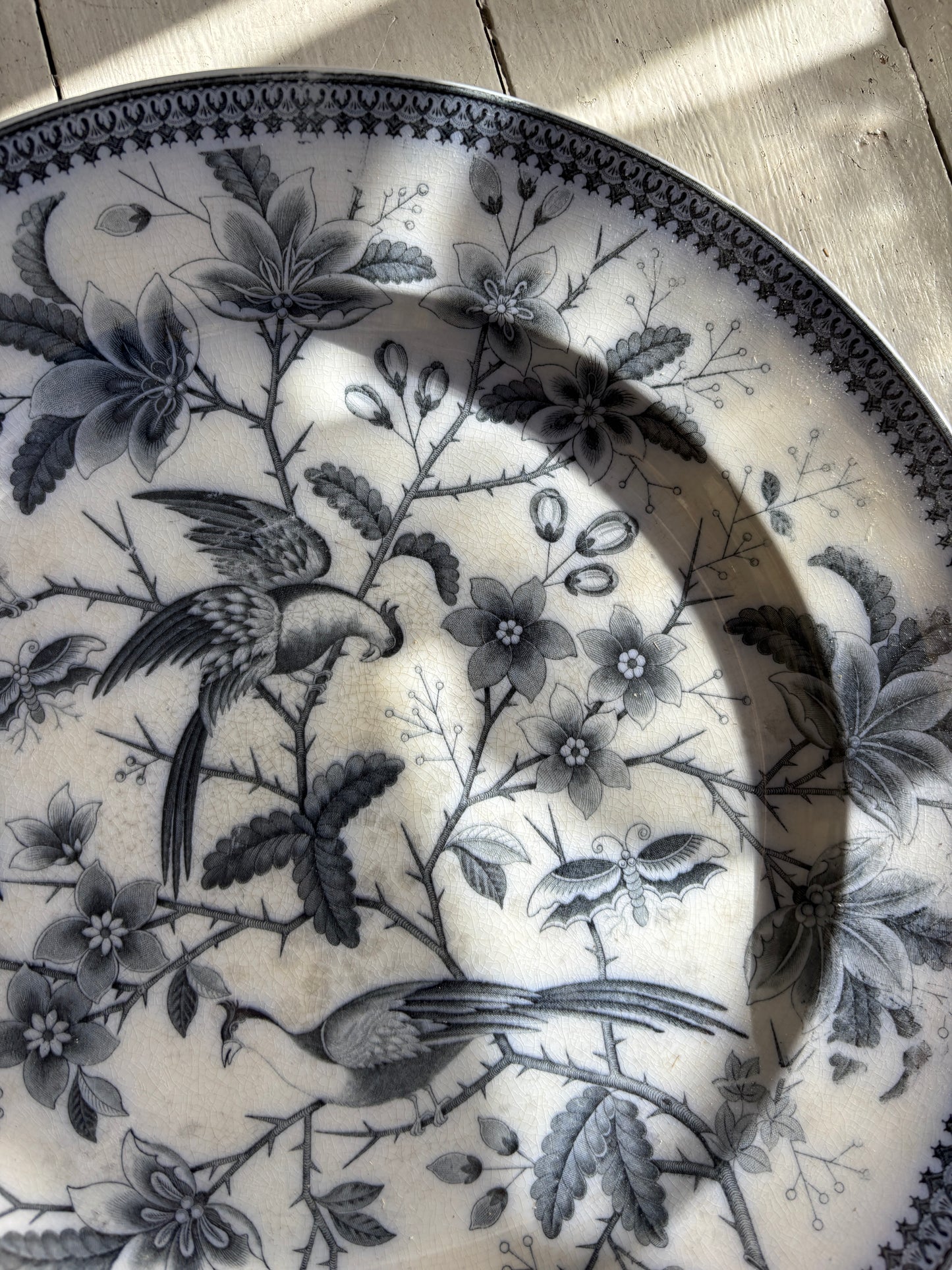 Villeroy & Boch rundt fad