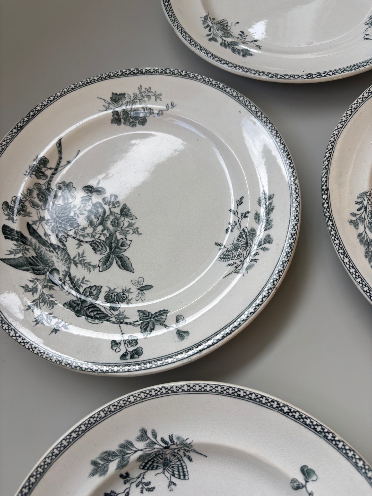 Gustafsberg frokosttallerkner