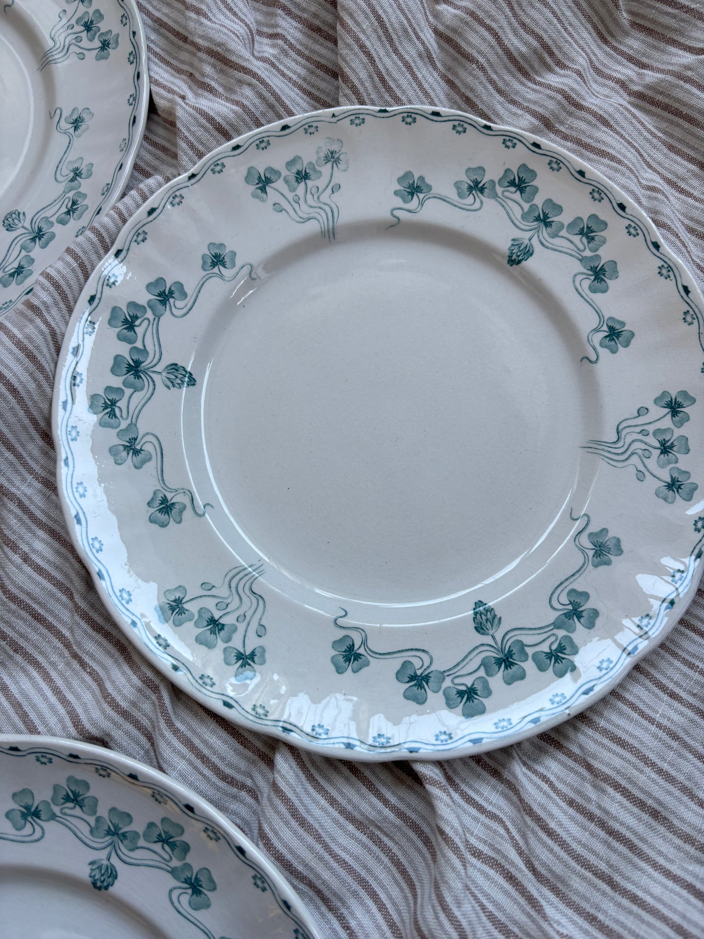 Villeroy & Boch middagstallerkner