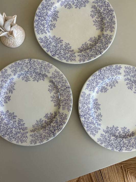 Middagstallerkner med smukt lilla motiv