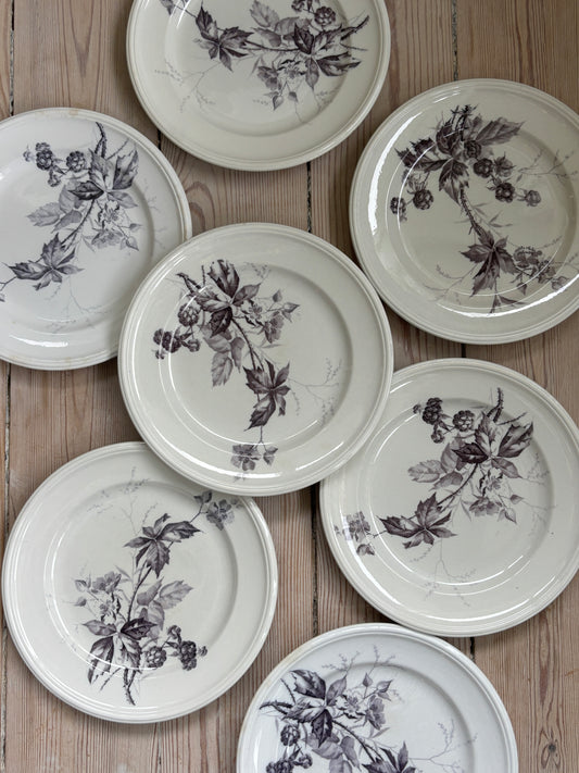 Villeroy & Boch frokost tallerkner