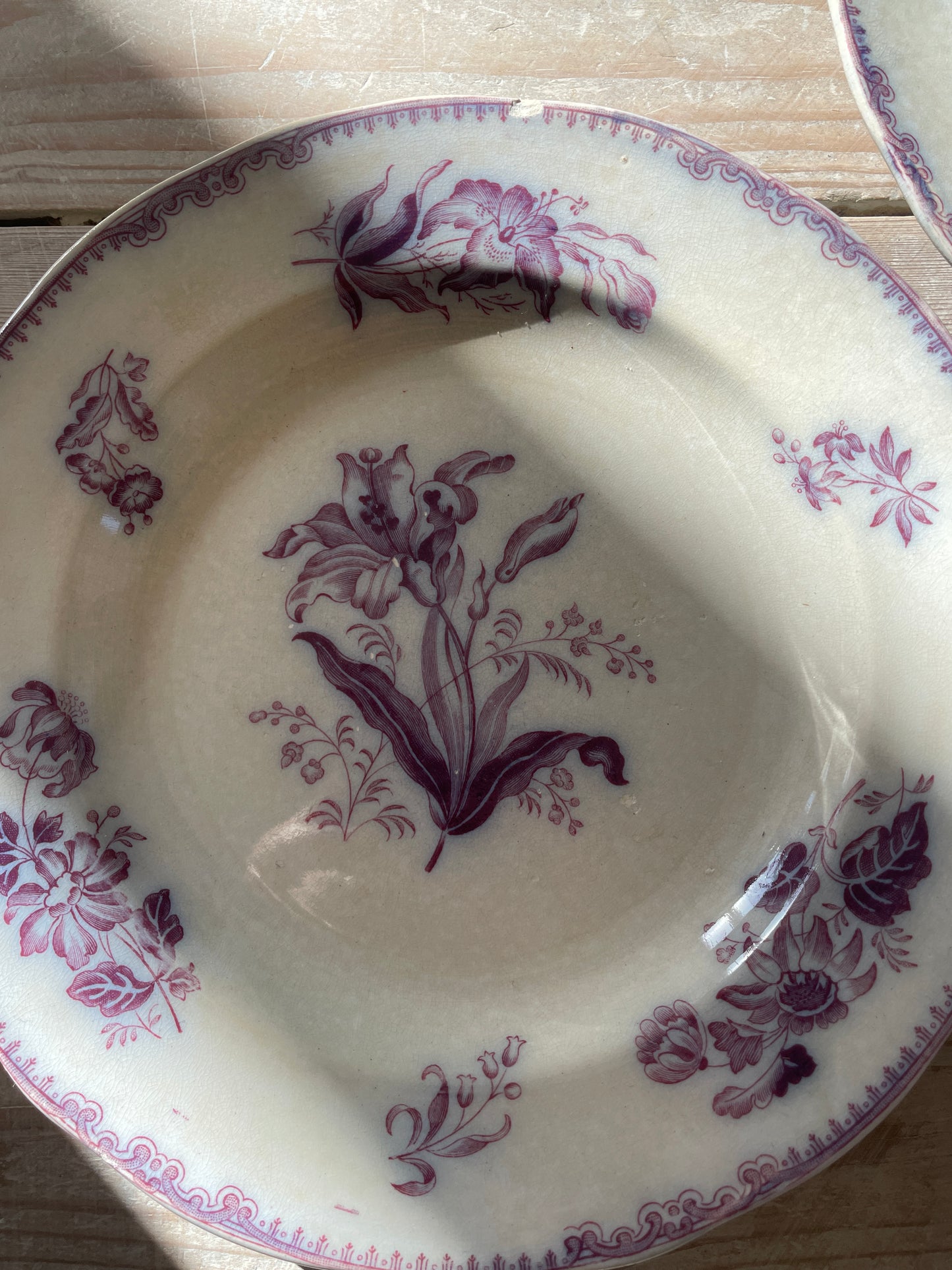 Smukke kagetallerkner med lilla motiv