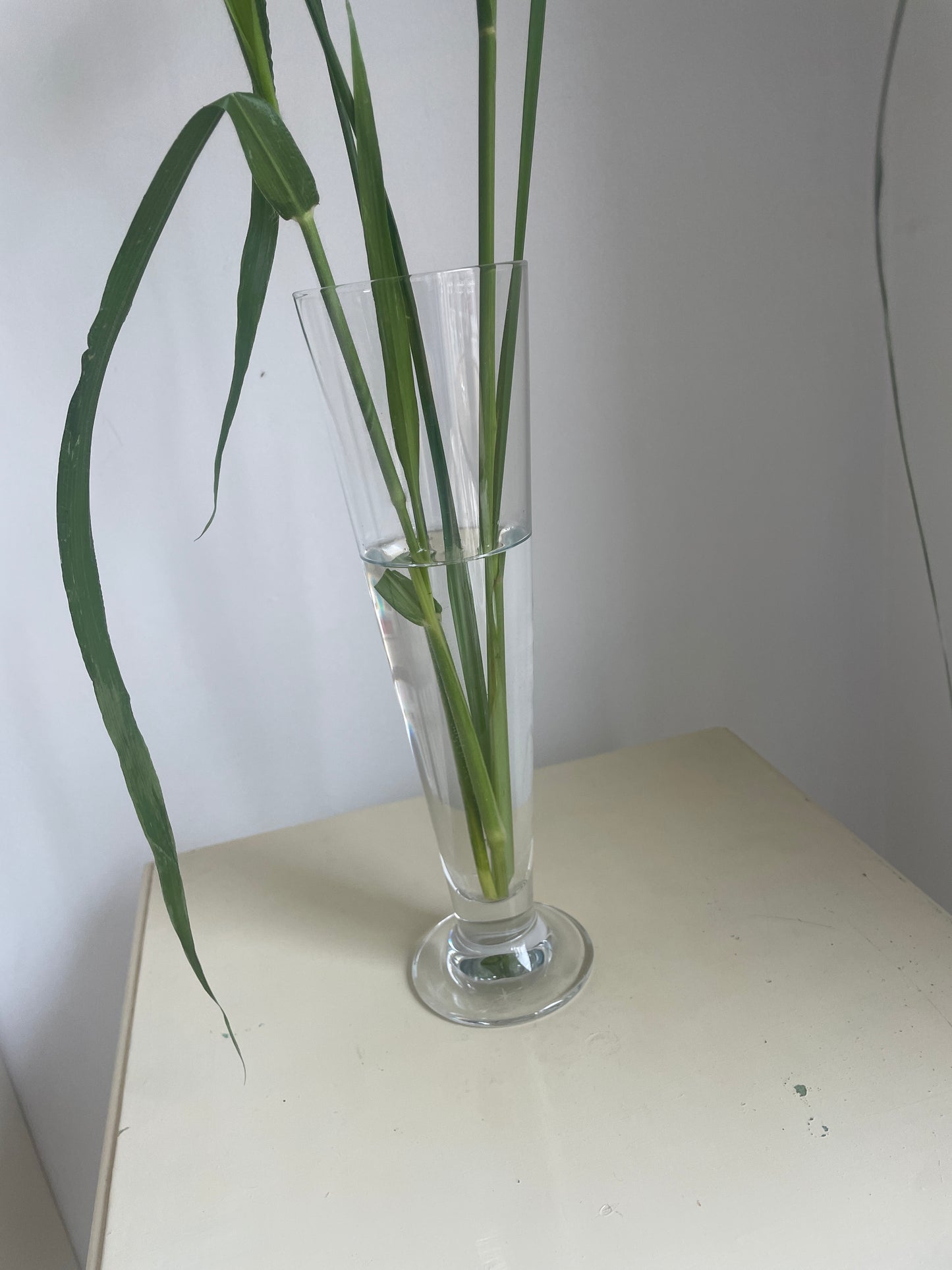 Tall narrow glass vase