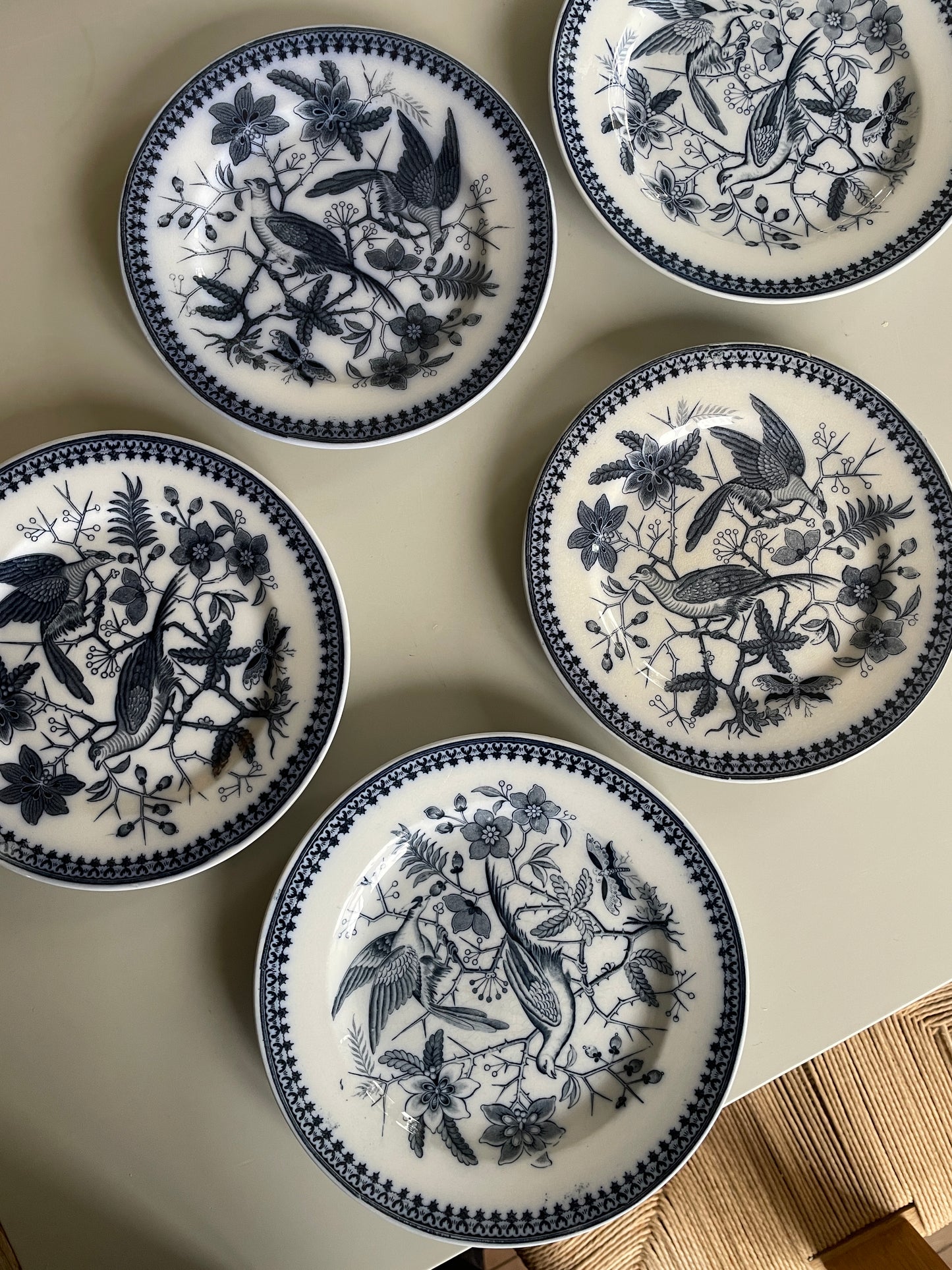 FASAN tallerkner fra Villeroy & Boch.