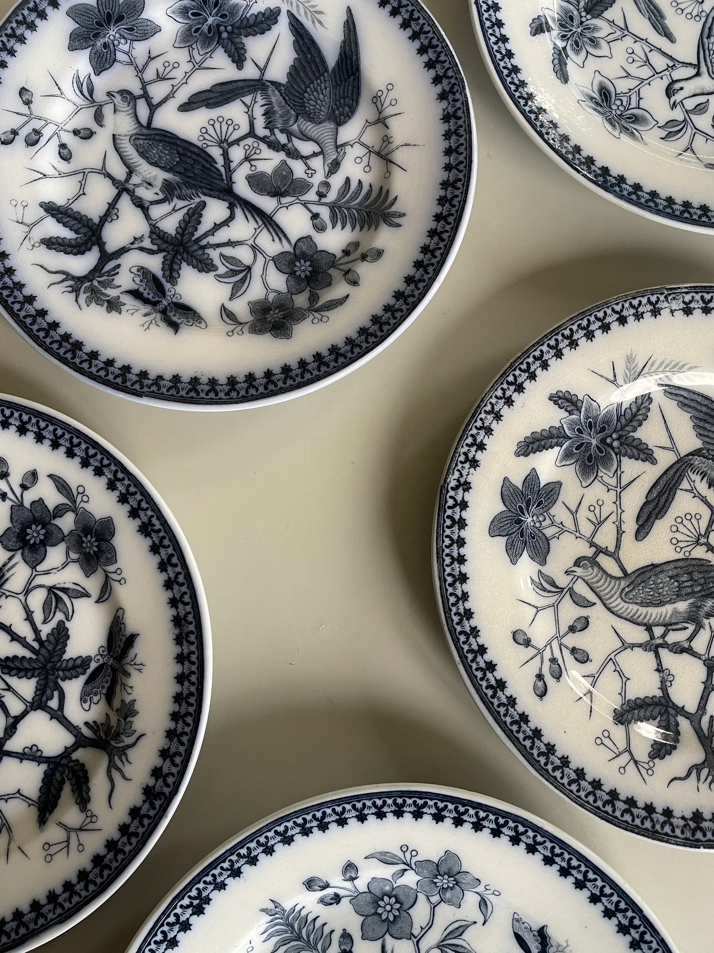 FASAN tallerkner fra Villeroy & Boch.