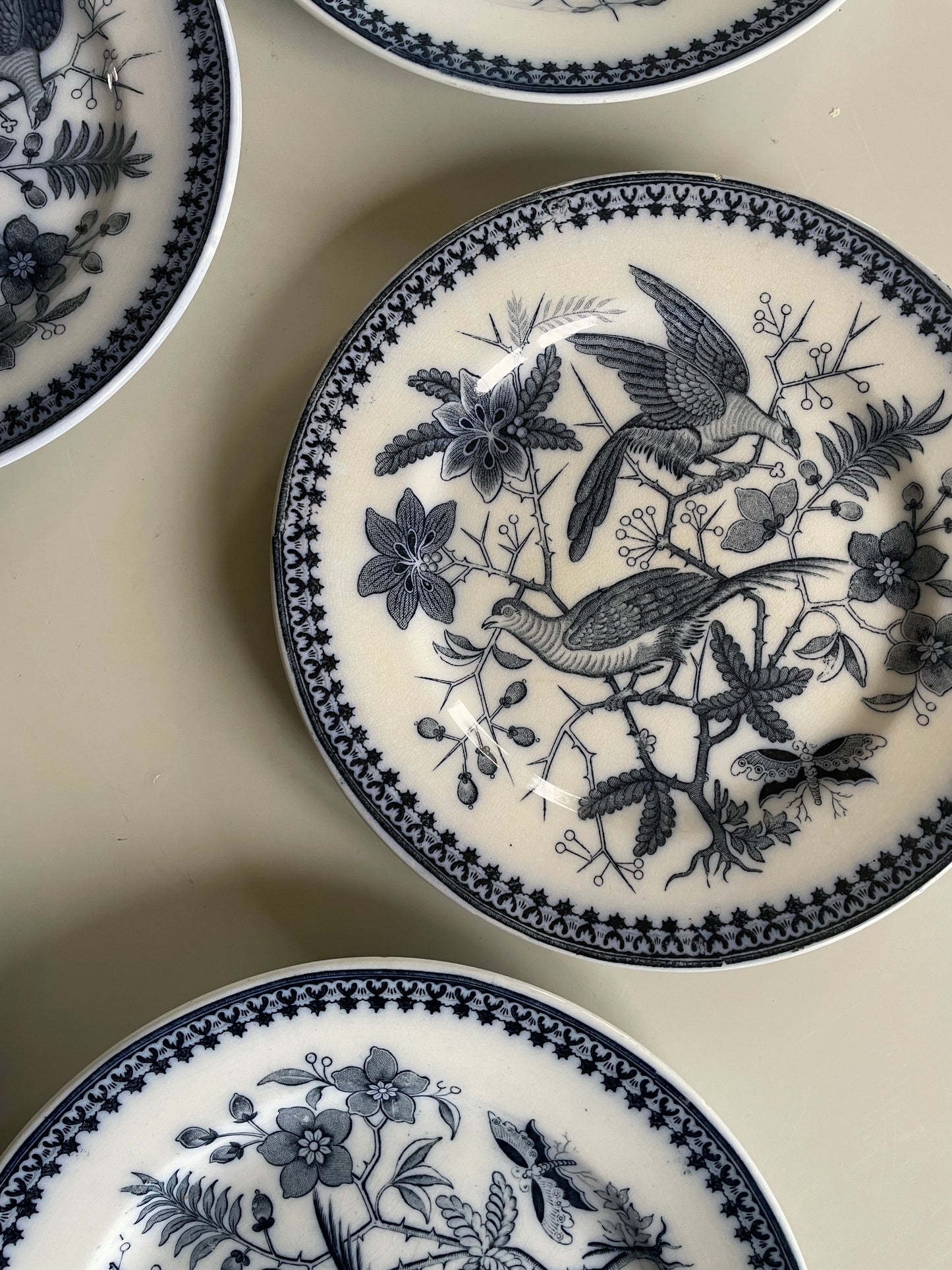 FASAN tallerkner fra Villeroy & Boch.