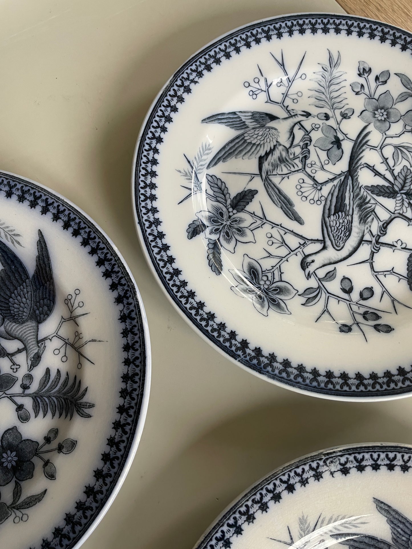 FASAN tallerkner fra Villeroy & Boch.