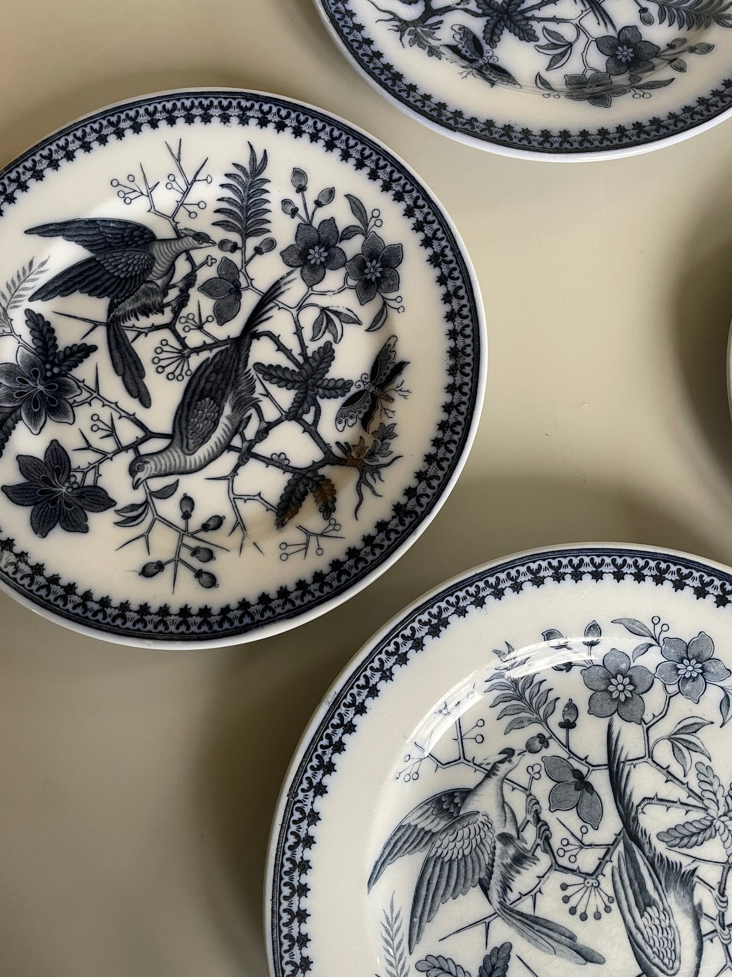 FASAN tallerkner fra Villeroy & Boch.