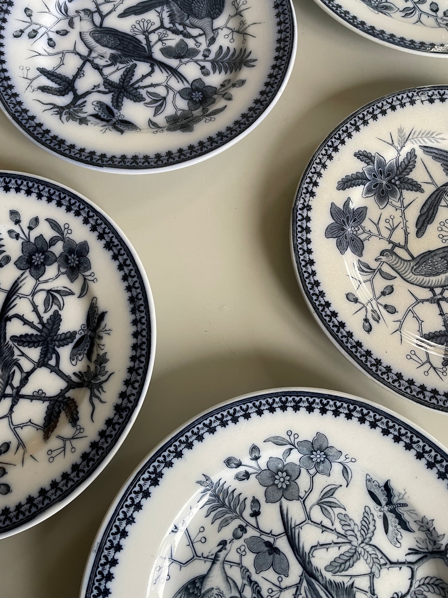 FASAN tallerkner fra Villeroy & Boch.