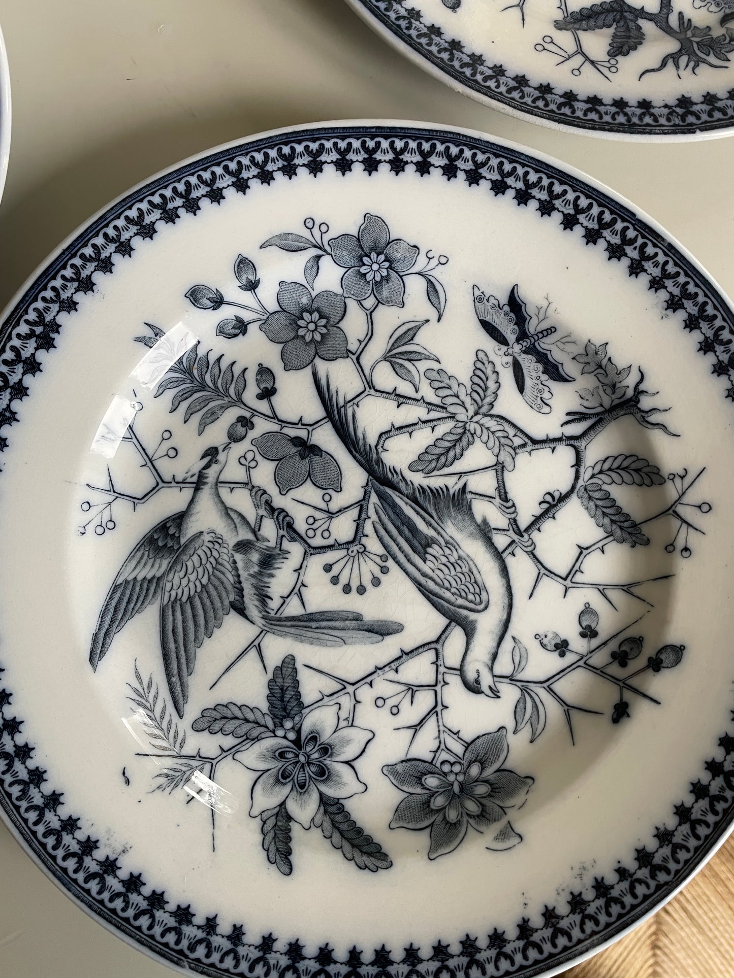 FASAN tallerkner fra Villeroy & Boch.