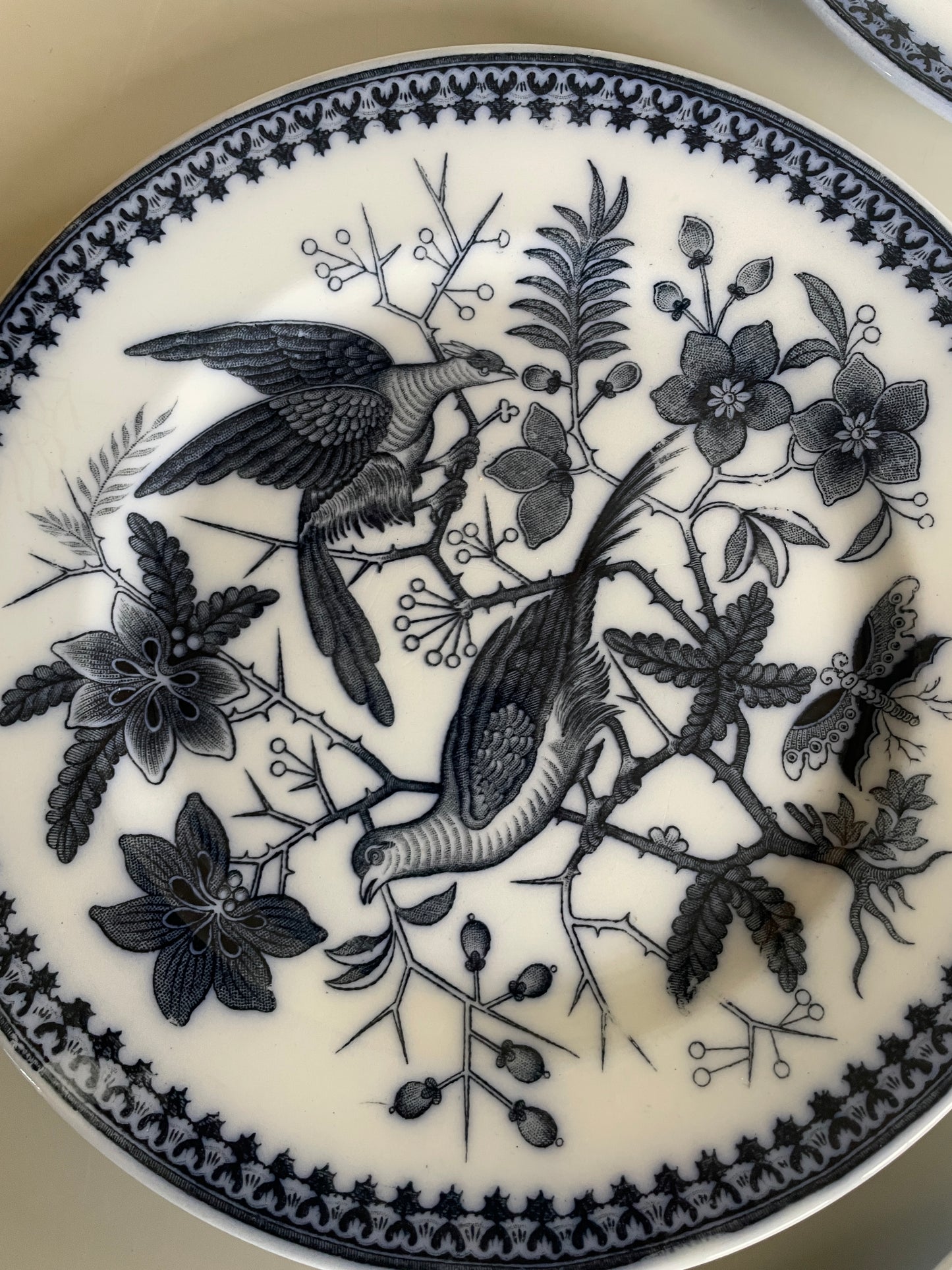 FASAN tallerkner fra Villeroy & Boch.