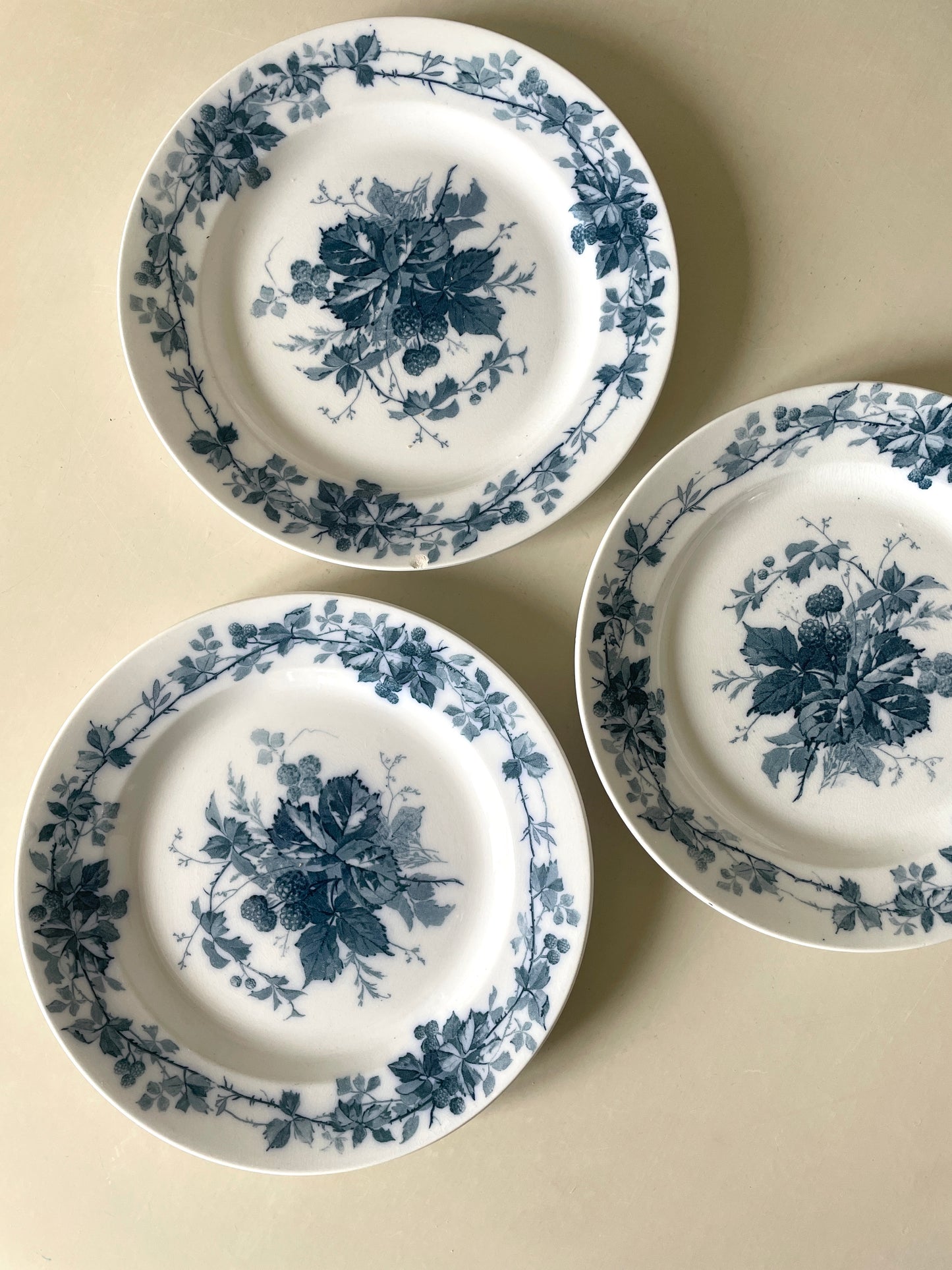Villeroy & Boch brombær Tallerkner