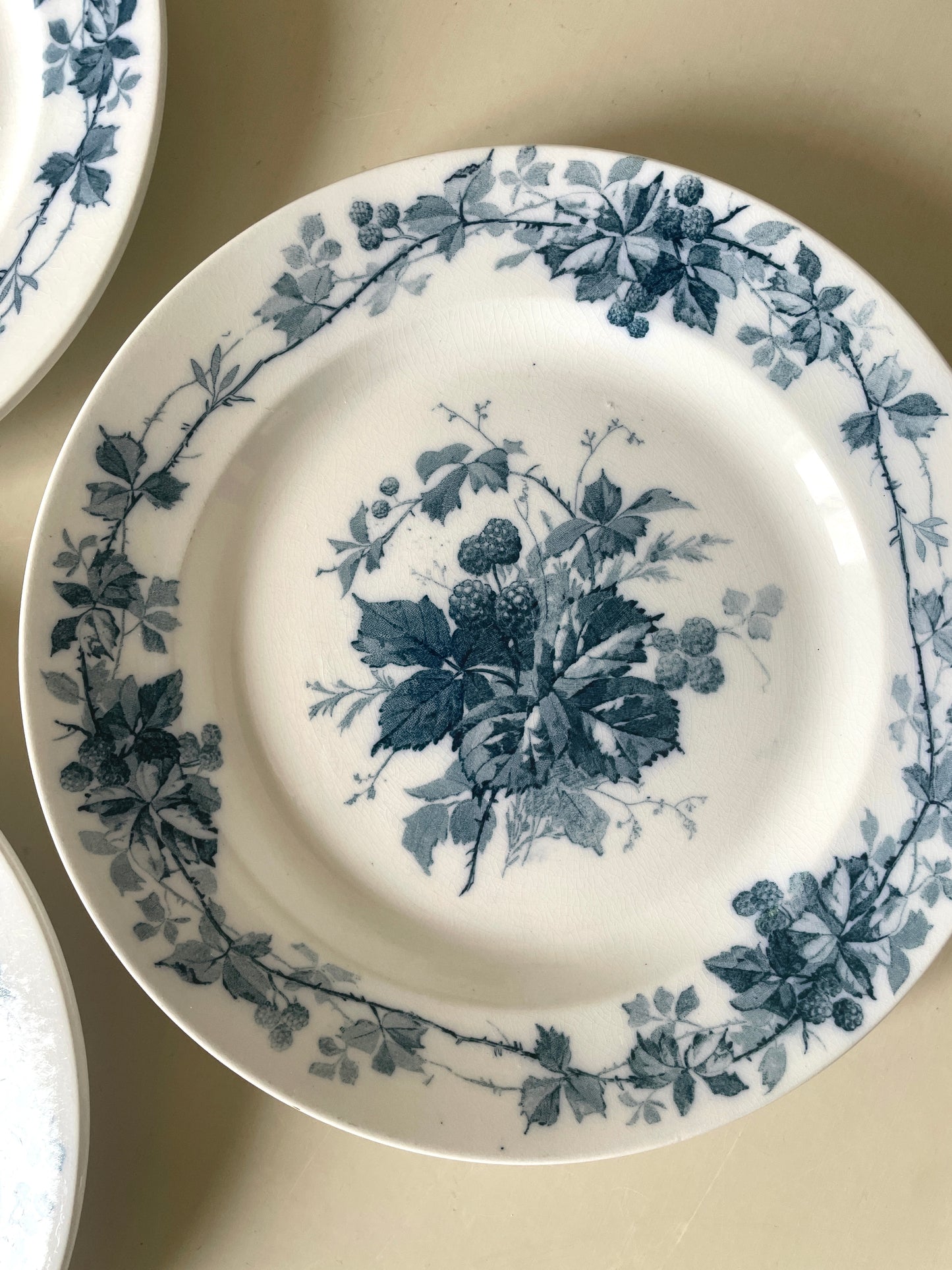 Villeroy & Boch brombær Tallerkner