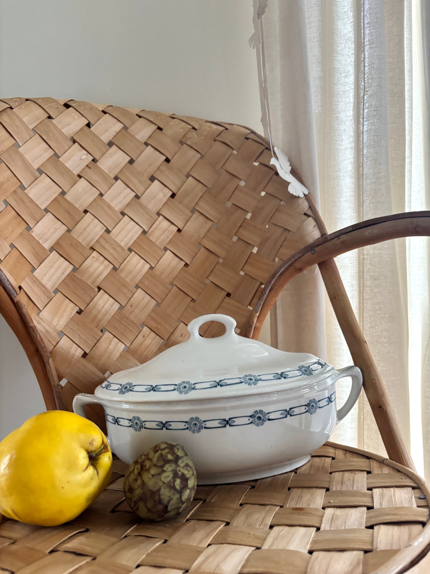Villeroy & Boch terrin