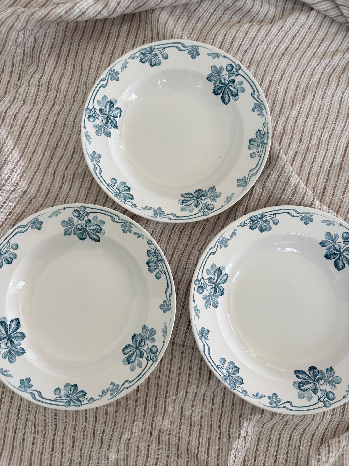 Villeroy & Boch tallerkner, kastanie