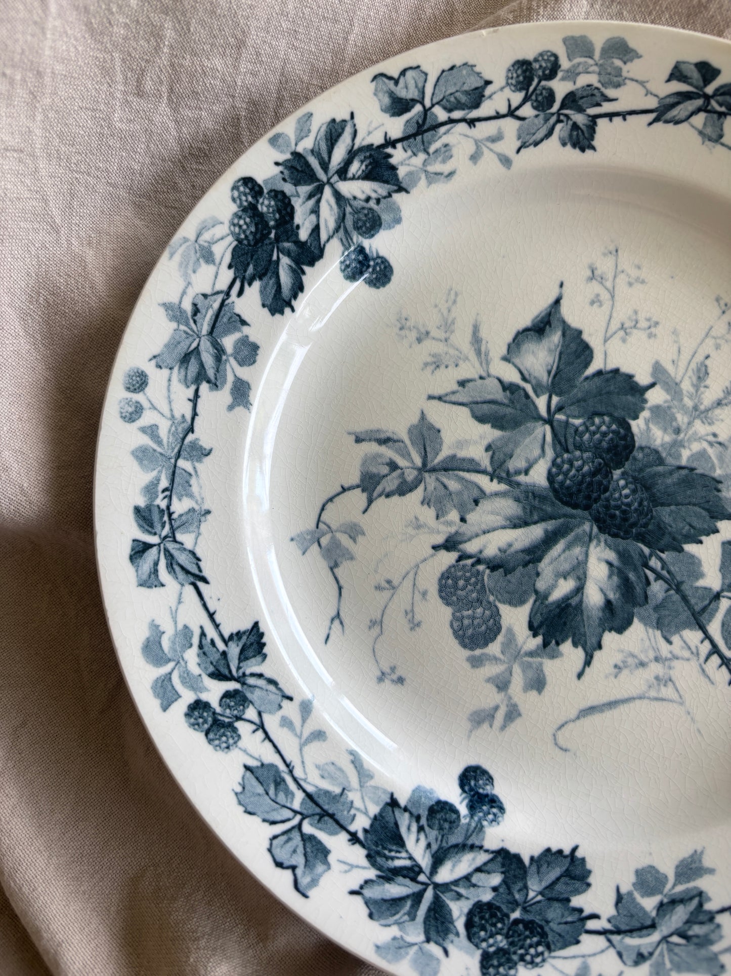 Villeroy & Boch platte, BROMBERRE