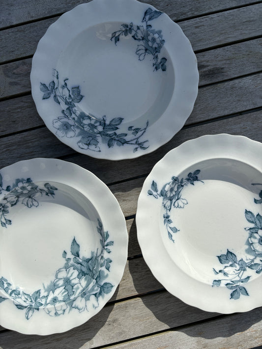 Dybe Wild Rose tallerkner