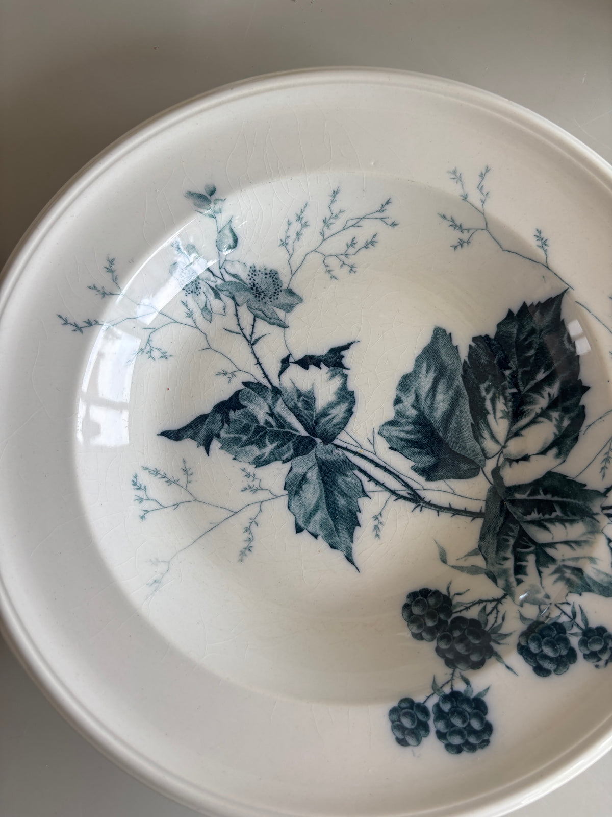 Villeroy & Boch platte