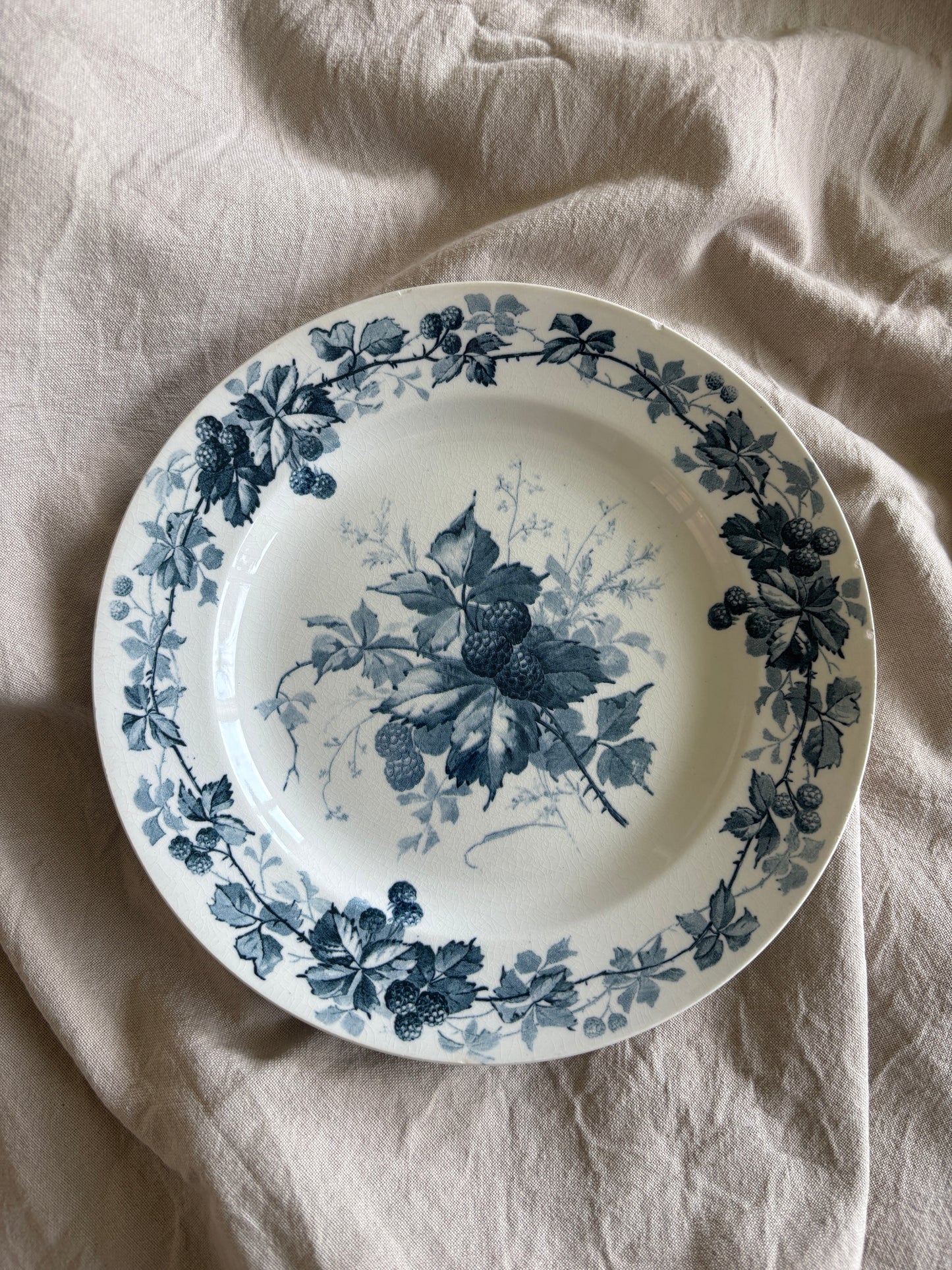 Villeroy & Boch platte, BROMBERRE