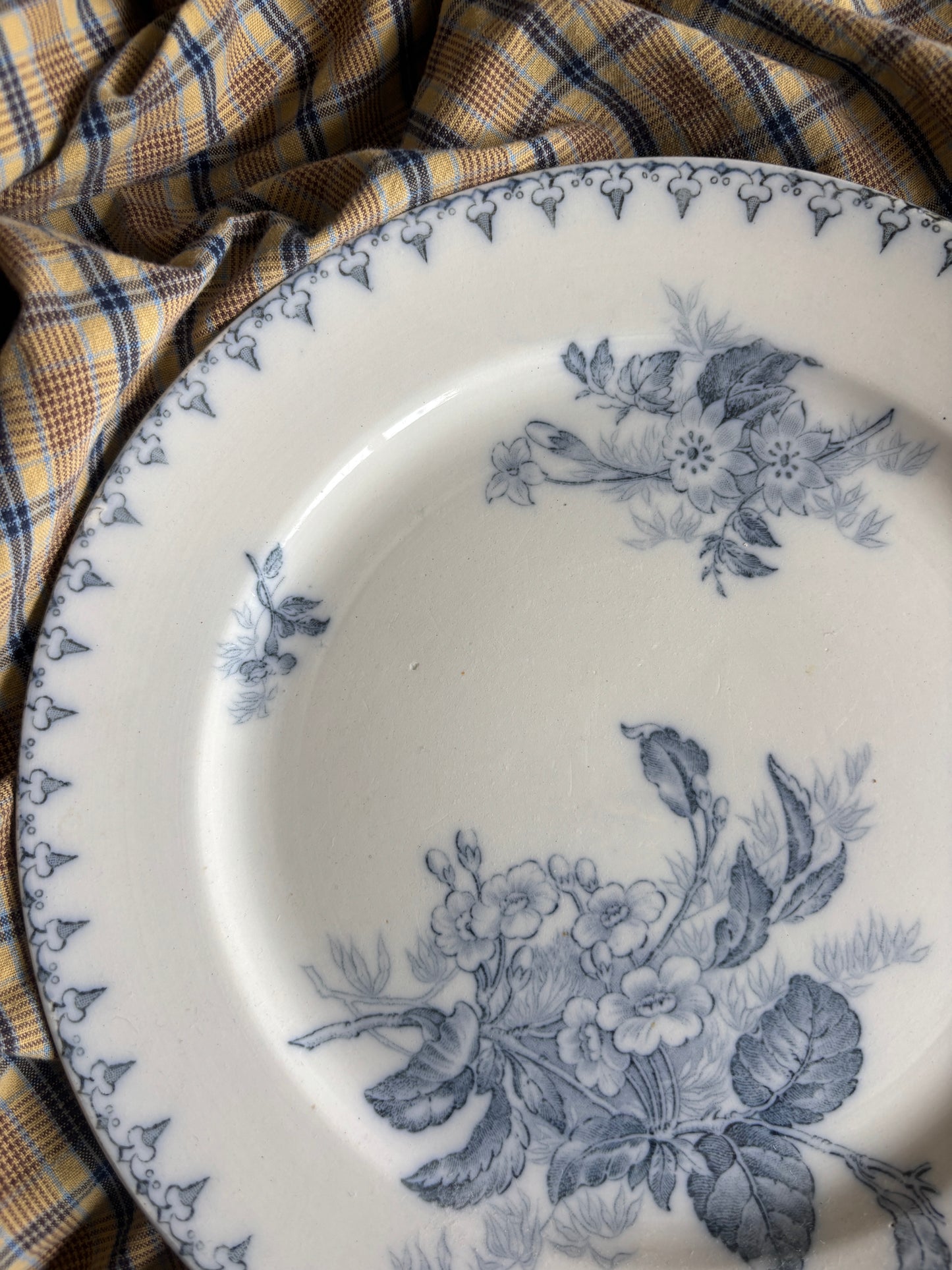 Flore platte