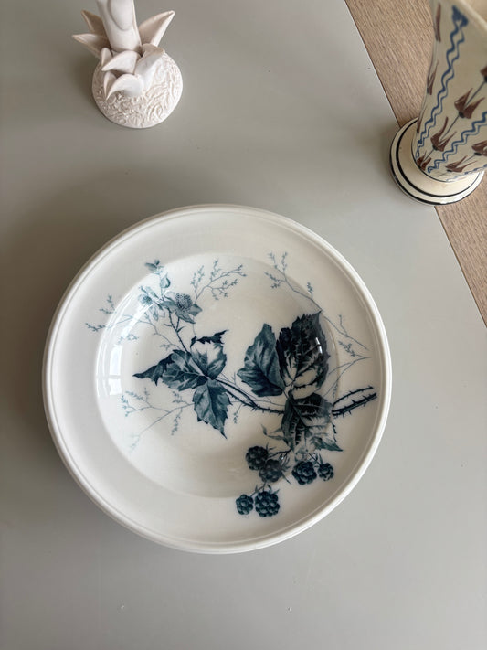 Villeroy & Boch platte