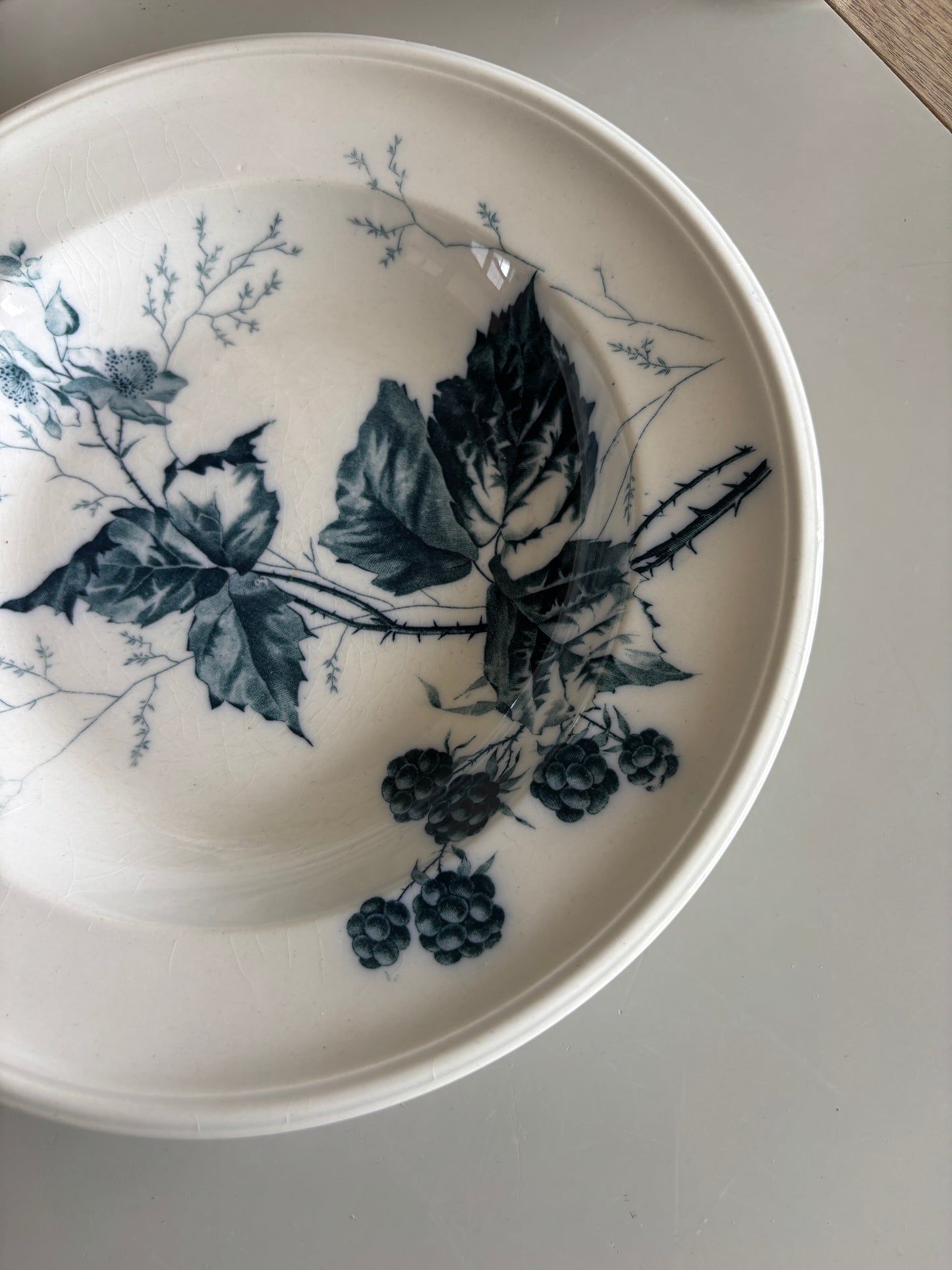 Villeroy & Boch platte
