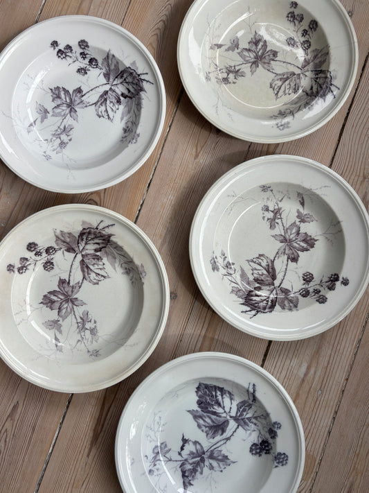 Villeroy & Boch tallerkner