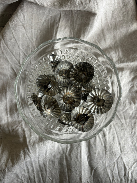 Lyseholdere til juletræ