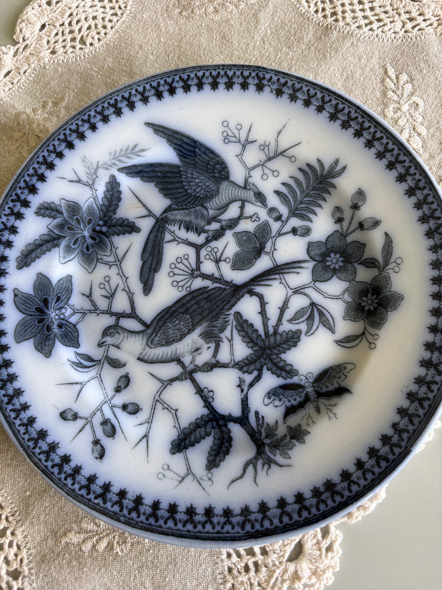 Lille villeroy & Boch platte