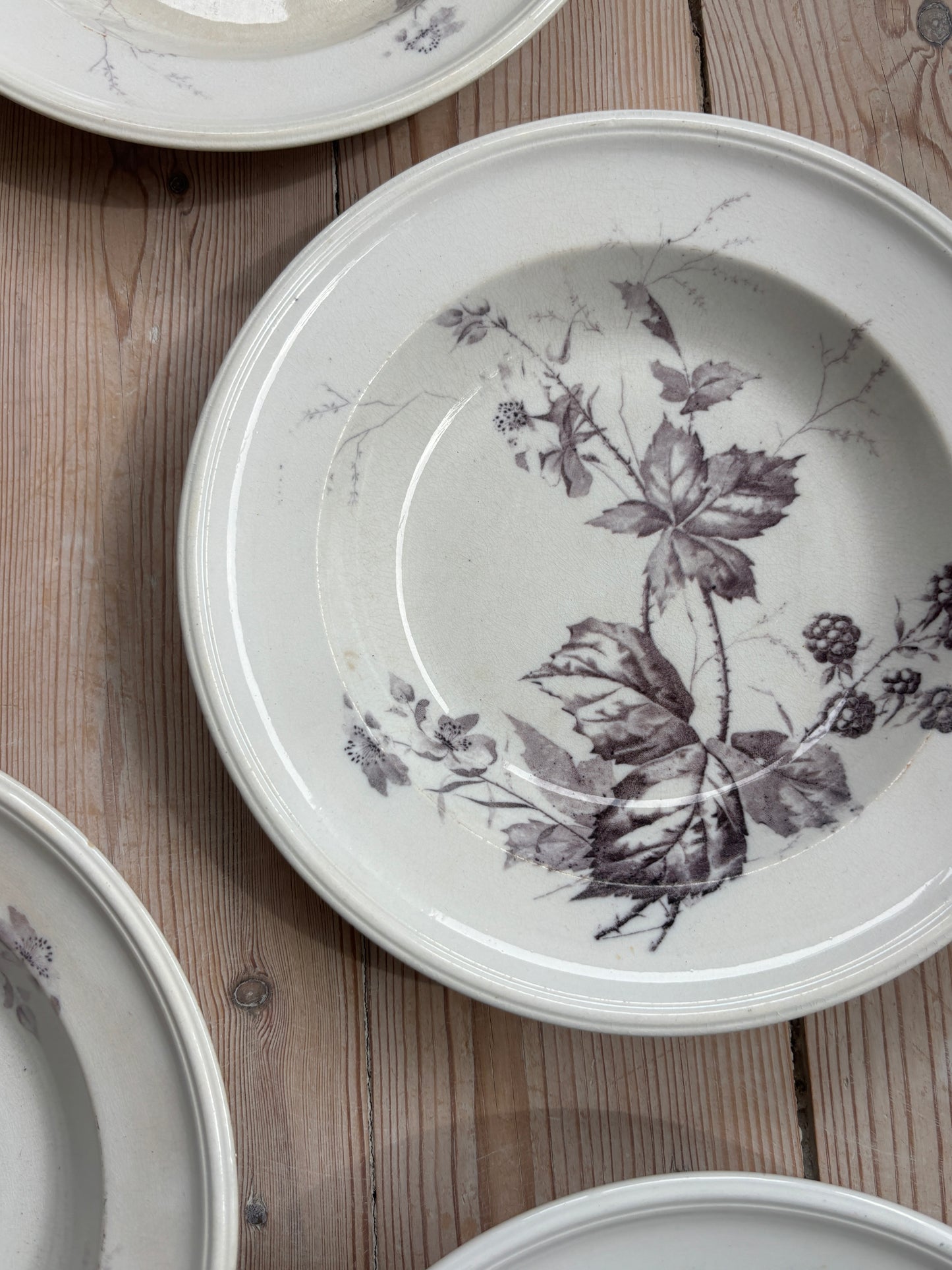 Villeroy & Boch tallerkner