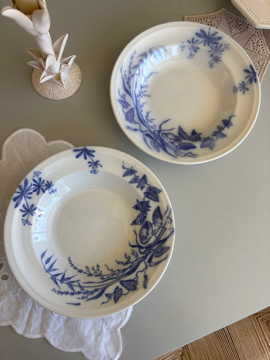 Dybe villeroy & Boch tallerkner