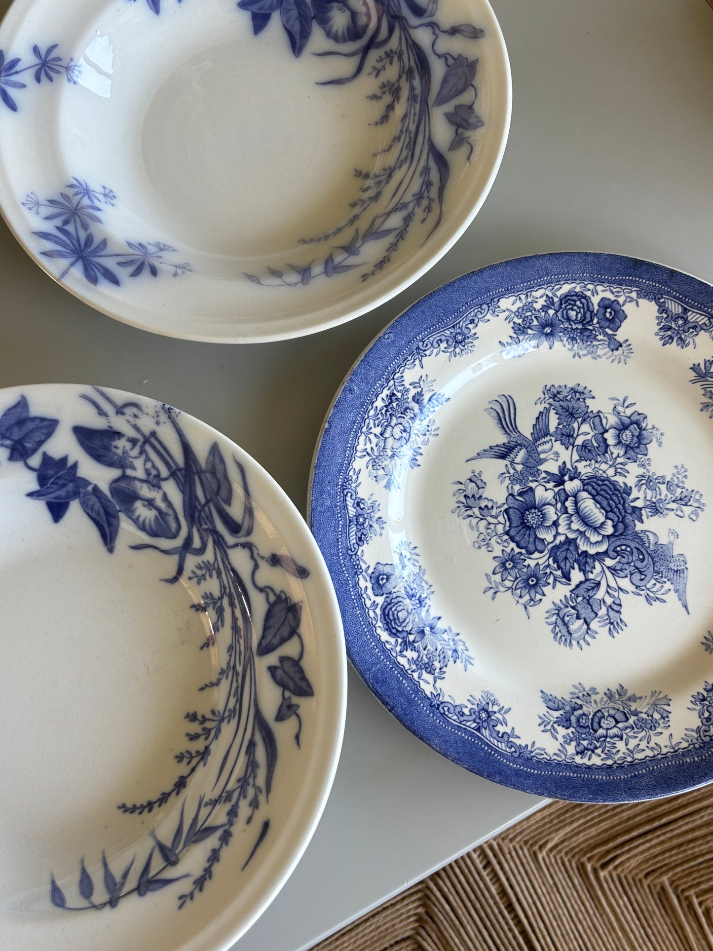 Villeroy & Boch tallerkner